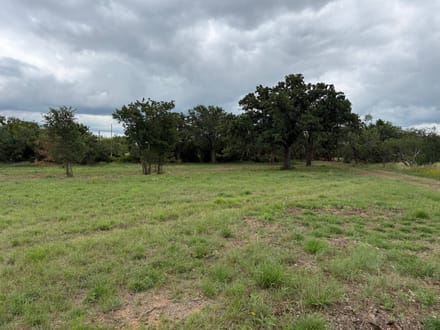 10.67 acres in Bangs, Texas with Large Oaks, Open Homesites & No Deed Restrictions