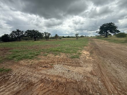 10.67 acres in Bangs, Texas with Large Oaks, Open Homesites & No Deed Restrictions