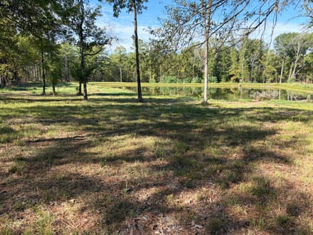 271 Tisdale Road Madison Ms 