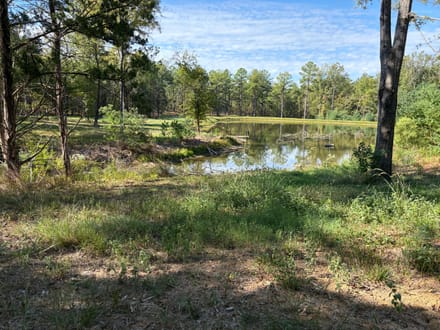 271 Tisdale Road Madison Ms 