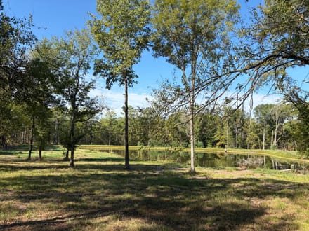 271 Tisdale Road Madison Ms 