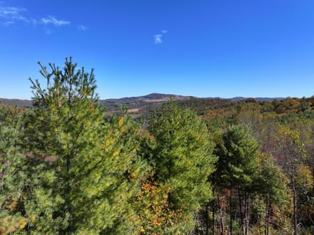 Burnt Hill Highlands: 42+/- Mountain Acres with Pasture, Timber, and Big Views