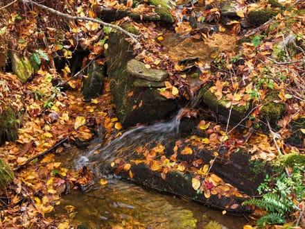 Burnt Hill Highlands: 42+/- Mountain Acres with Pasture, Timber, and Big Views