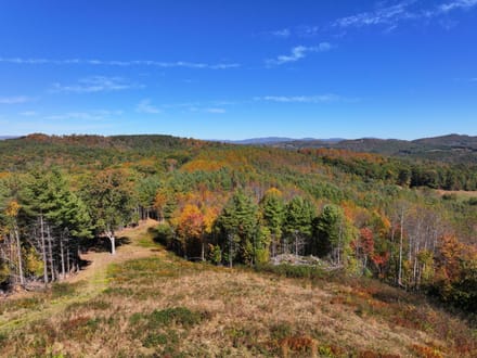 Burnt Hill Highlands: 42+/- Mountain Acres with Pasture, Timber, and Big Views