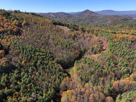Burnt Hill Highlands: 42+/- Mountain Acres with Pasture, Timber, and Big Views