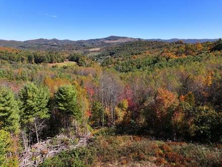 Burnt Hill Highlands: 42+/- Mountain Acres with Pasture, Timber, and Big Views
