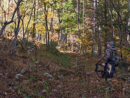Mountain Creek Cabin: 20+ Acres Near the New River in Grayson County, VA