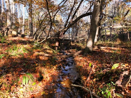 Mountain Creek Cabin: 20+ Acres Near the New River in Grayson County, VA