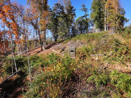 Mountain Creek Cabin: 20+ Acres Near the New River in Grayson County, VA