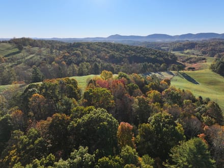 Mountain Creek Cabin: 20+ Acres Near the New River in Grayson County, VA