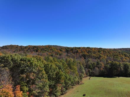 Shady Grove Sanctuary: 44+/- Acres of Ferns, Forest, and Flowing Mountain Water in Floyd County, VA