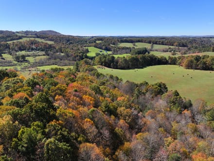 The Country Divide: 22+/- Balanced Acres, Split Between Pasture & Woods in Floyd County, VA