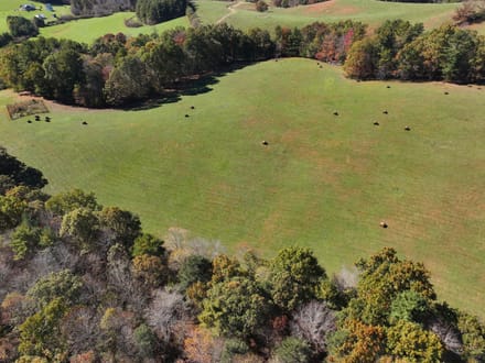 The Country Divide: 22+/- Balanced Acres, Split Between Pasture & Woods in Floyd County, VA