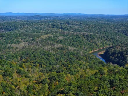 Smith River Solitude: 22.5+/- Wooded Acres with Cabin and Smith River Access