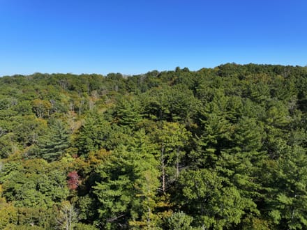 Smith River Solitude: 22.5+/- Wooded Acres with Cabin and Smith River Access
