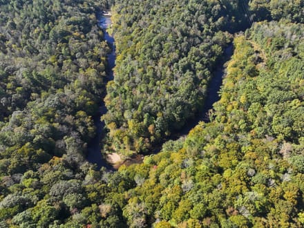 Smith River Solitude: 22.5+/- Wooded Acres with Cabin and Smith River Access