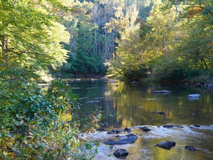 Smith River Solitude: 22.5+/- Wooded Acres with Cabin and Smith River Access
