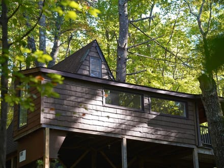 Smith River Solitude: 22.5+/- Wooded Acres with Cabin and Smith River Access