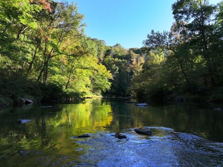 Smith River Solitude: 22.5+/- Wooded Acres with Cabin and Smith River Access