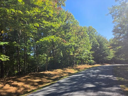 +/-21.8ac - 29 Elk Ridge Rd #EH29 Ferguson, NC - Wilkes Co