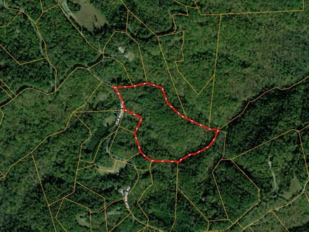 +/-21.8ac - 29 Elk Ridge Rd #EH29 Ferguson, NC - Wilkes Co