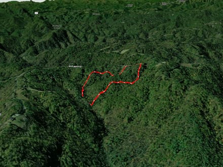 +/-21.8ac - 29 Elk Ridge Rd #EH29 Ferguson, NC - Wilkes Co