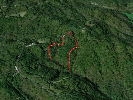+/-21.8ac - 29 Elk Ridge Rd #EH29 Ferguson, NC - Wilkes Co