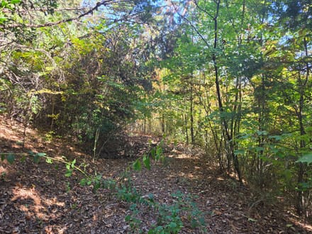 +/-21.8ac - 29 Elk Ridge Rd #EH29 Ferguson, NC - Wilkes Co