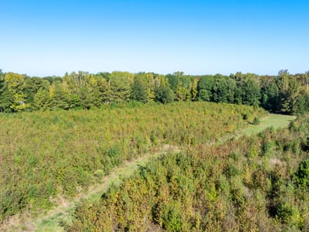 14.28 +/- Acres in Lonoke County, Arkansas