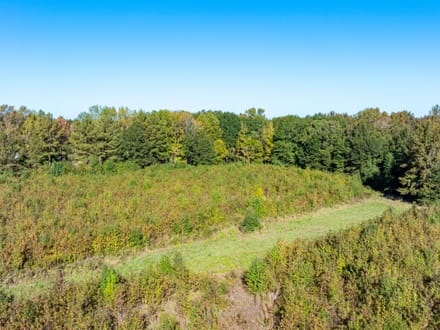 14.28 +/- Acres in Lonoke County, Arkansas