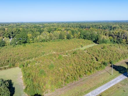 14.28 +/- Acres in Lonoke County, Arkansas
