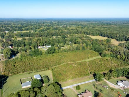 14.28 +/- Acres in Lonoke County, Arkansas