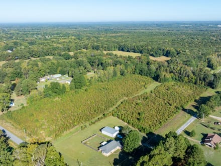 14.28 +/- Acres in Lonoke County, Arkansas