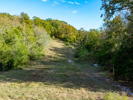 11+/- Acres Hwy 58 Frontage, NO RESTRICTIONS, Sharp County, Arkansas 