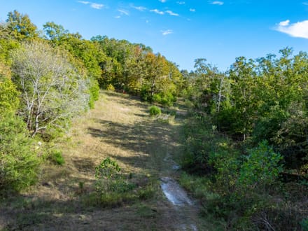 11+/- Acres Hwy 58 Frontage, NO RESTRICTIONS, Sharp County, Arkansas 