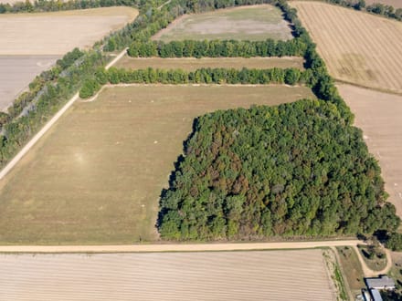 11.21 +/- Unrestricted Acres | Ready for Your Dream Home | Surveyed, Septic Evaluations & Utilities Nearby | Greene County, AR