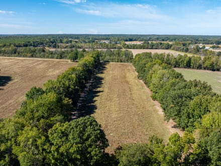 11.21 +/- Unrestricted Acres | Ready for Your Dream Home | Surveyed, Septic Evaluations & Utilities Nearby | Greene County, AR