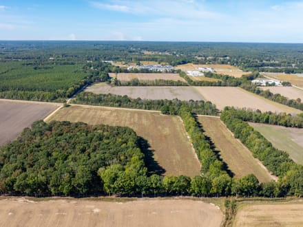 11.21 +/- Unrestricted Acres | Ready for Your Dream Home | Surveyed, Septic Evaluations & Utilities Nearby | Greene County, AR