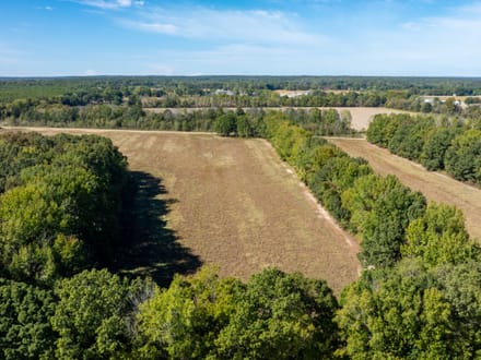 11.21 +/- Unrestricted Acres | Ready for Your Dream Home | Surveyed, Septic Evaluations & Utilities Nearby | Greene County, AR