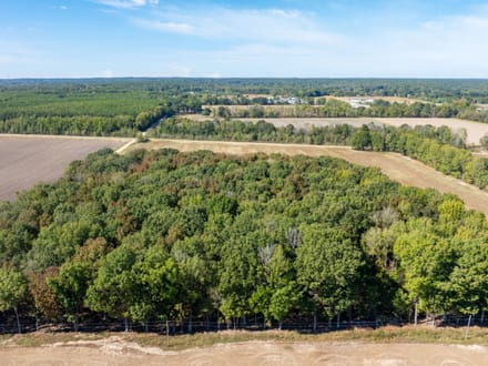11.21 +/- Unrestricted Acres | Ready for Your Dream Home | Surveyed, Septic Evaluations & Utilities Nearby | Greene County, AR