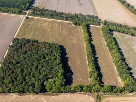 11.21 +/- Unrestricted Acres | Ready for Your Dream Home | Surveyed, Septic Evaluations & Utilities Nearby | Greene County, AR
