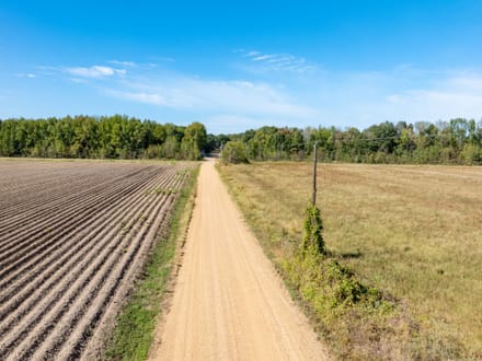 11.21 +/- Unrestricted Acres | Ready for Your Dream Home | Surveyed, Septic Evaluations & Utilities Nearby | Greene County, AR