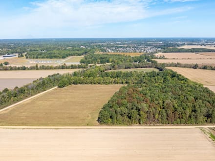 11.21 +/- Unrestricted Acres | Ready for Your Dream Home | Surveyed, Septic Evaluations & Utilities Nearby | Greene County, AR