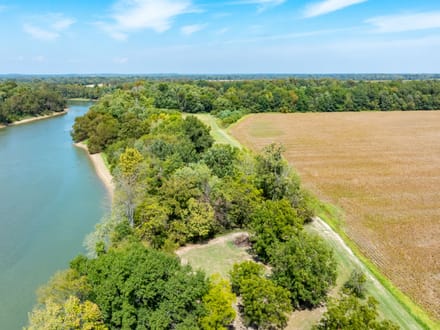 RARE 18 +/- ACRES ON THE BLACK RIVER | PRIME MALLARD FLYWAY | DUCK HUNTING PARADISE | LAWRENCE COUNTY, AR