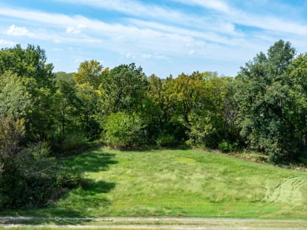 RARE 18 +/- ACRES ON THE BLACK RIVER | PRIME MALLARD FLYWAY | DUCK HUNTING PARADISE | LAWRENCE COUNTY, AR