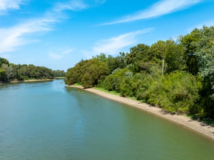RARE 18 +/- ACRES ON THE BLACK RIVER | PRIME MALLARD FLYWAY | DUCK HUNTING PARADISE | LAWRENCE COUNTY, AR