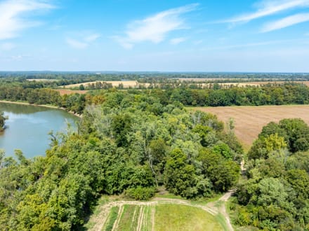 RARE 18 +/- ACRES ON THE BLACK RIVER | PRIME MALLARD FLYWAY | DUCK HUNTING PARADISE | LAWRENCE COUNTY, AR