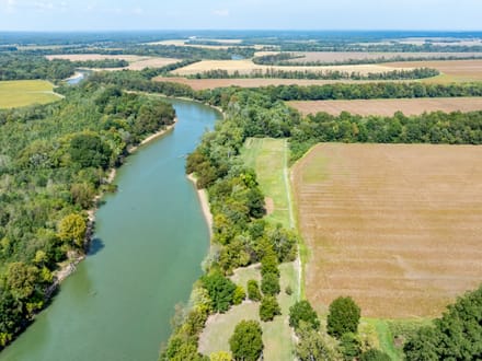 RARE 18 +/- ACRES ON THE BLACK RIVER | PRIME MALLARD FLYWAY | DUCK HUNTING PARADISE | LAWRENCE COUNTY, AR
