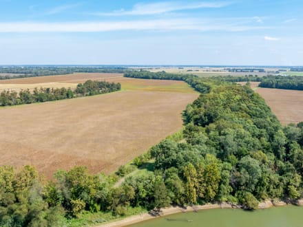RARE 18 +/- ACRES ON THE BLACK RIVER | PRIME MALLARD FLYWAY | DUCK HUNTING PARADISE | LAWRENCE COUNTY, AR