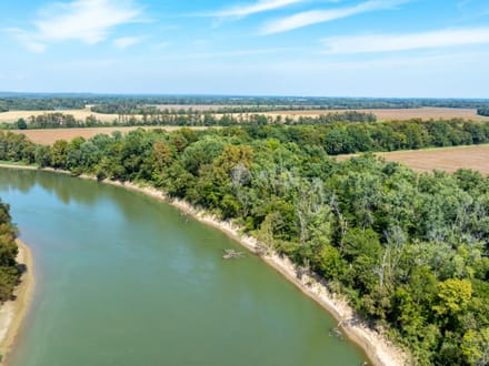 RARE 18 +/- ACRES ON THE BLACK RIVER | PRIME MALLARD FLYWAY | DUCK HUNTING PARADISE | LAWRENCE COUNTY, AR